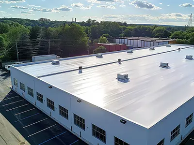 Full Replacement MT ND 4