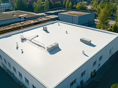 Full Replacement MT ND 6